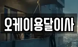 오케이용달이사