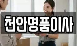 천안명품이사
