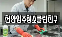 천안입주청소클린친구