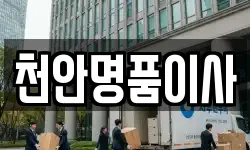 천안명품이사