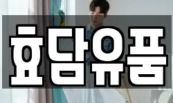효담유품