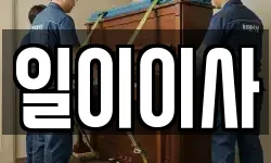 충남 천안시 서북구 불당동 이사,용달이사,포장이사,원룸이사,보관이사