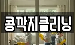 콩깍지클리닝