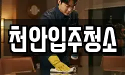 천안입주청소