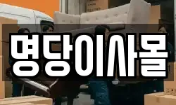 충남 천안시 서북구 성성동 이사,용달이사,포장이사,원룸이사,보관이사