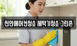 천안에어컨청소 세탁기청소 그린존