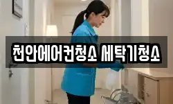 천안에어컨청소 세탁기청소