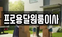 프로용달원룸이사