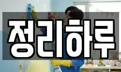 정리하루
