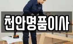천안명품이사