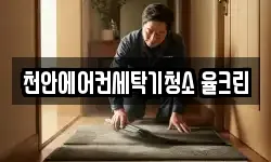 천안에어컨세탁기청소 율크린