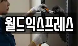 월드익스프레스
