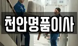 충남 천안시 서북구 업성동 이사,용달이사,포장이사,원룸이사,보관이사