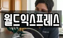 월드익스프레스
