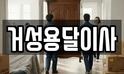 거성용달이사