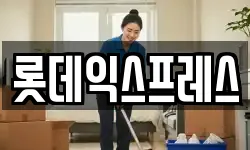 롯데익스프레스