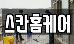 스칸홈케어