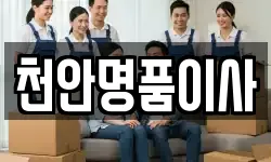 천안명품이사