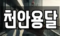천안용달