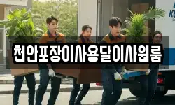 천안포장이사용달이사원룸