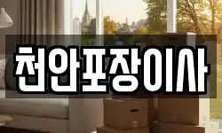천안포장이사