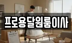 프로용달원룸이사