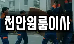 천안원룸이사