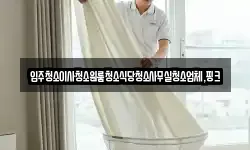 입주청소이사청소원룸청소식당청소사무실청소업체,핑크