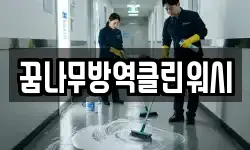꿈나무방역클린워시