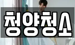 청양청소