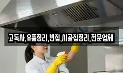 고독사,유품정리,빈집,시골집정리,전문업체