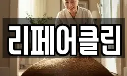 리페어클린