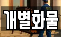 개별화물