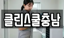 클린스쿨충남
