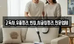 고독사,유품정리,빈집,시골집정리,전문업체