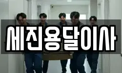 세진용달이사