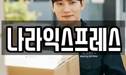 나라익스프레스