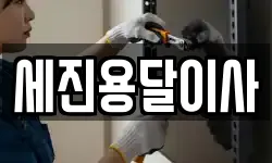 세진용달이사