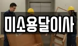 미소용달이사