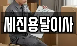 세진용달이사
