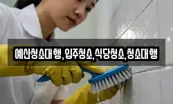 예산청소대행,입주청소,식당청소,청소대행