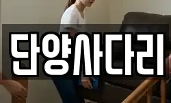 단양사다리