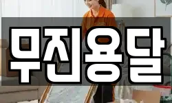 무진용달