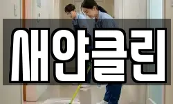 새얀클린