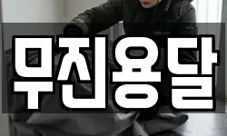 무진용달