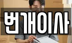 번개이사