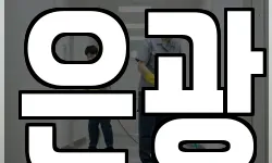 은광