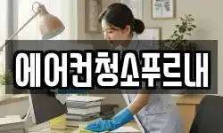 에어컨청소푸르내