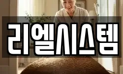 리엘시스템
