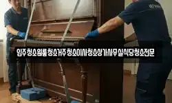 입주청소원룸청소거주청소이사청소상가사무실식당청소전문